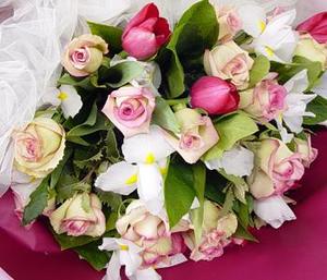 Products: Mixed Pinks