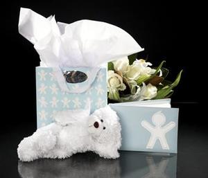 Products: New Born Gift Bag (blue)