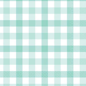 Pastel Mint Gingham Napkins - Lunch 16 Pkt