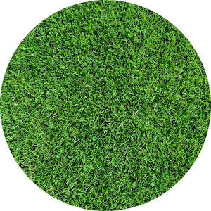 Grass Edible Cake Image