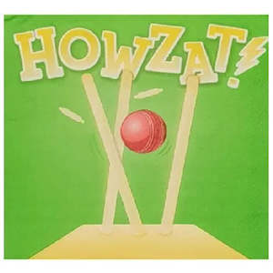 Cricket Party: Howzat! Cricket Ball Napkins - Lunch 16 Pkt