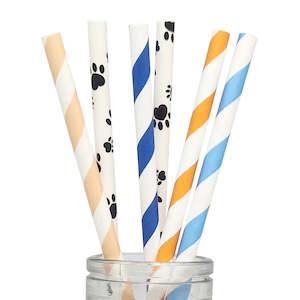 Bluey Paper Straws - 25 Pkt