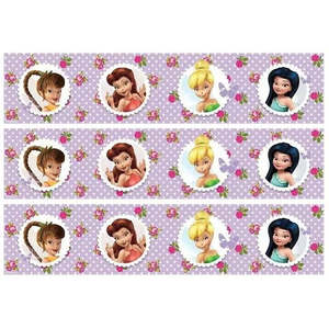 Disney Fairies Tinkerbell Party: Disney Fairies Cake Strips Edible Icing Image