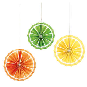 Citrus Fruit Paper Fans - 3 Pkt