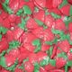 Wild Strawberries 2 Kg