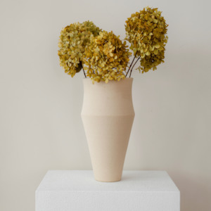 Preserved Hydrangeas: MINI Autumn Yellow Paniculata- Preserved Hydrangea BUNCHES