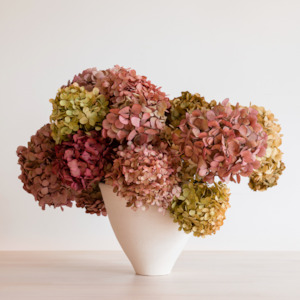 MIXED Bunch- Preserved Hydrangeas