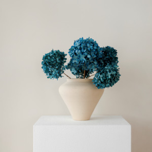 MINI Sea Blue Paniculata- Preserved Hydrangea BUNCHES