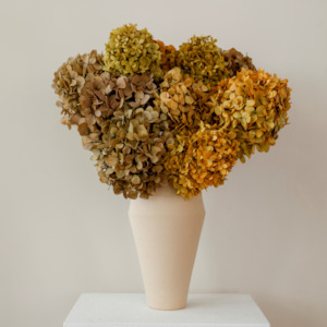 Autumn Mix- Preserved Hydrangea BUNCHES