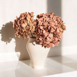 MEDIUM Blush Juliana - Preserved Hydrangea STEM