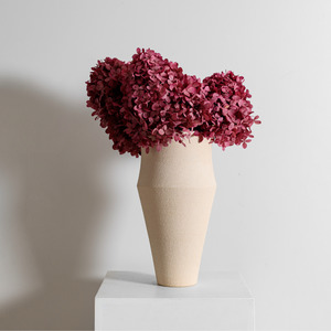 Limelight ROSE PINK | Medium