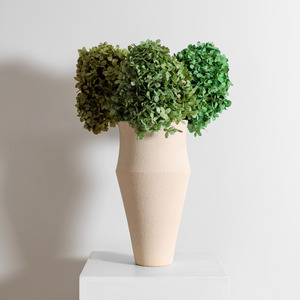 Green Mix  | Medium
