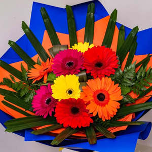 Gerbera Traffic Light