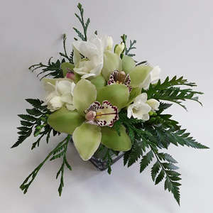 Arrangements: White Delight