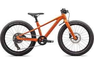 Promotion Specialized: Specialized Riprock 20"