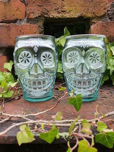 Products: Sugar Skull Glasses - Burnt Offerings