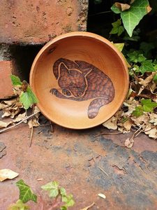 Products: Sleeping Cat Bowl - Burnt Offerings