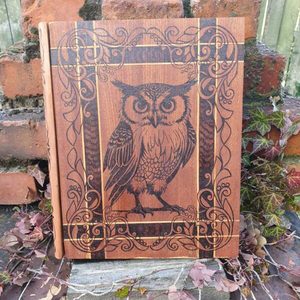Products: Owl Book Safe - Burnt Offerings