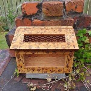 Wooden Egg Box - Burnt Offerings