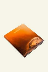 Mag Nation: Surf Porn