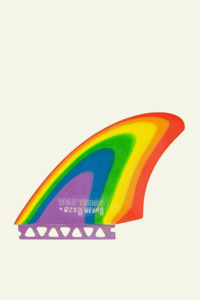 Twin Fins: Hybrid Twin ST - Rainbow