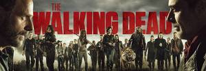 Products: The Walking Dead DVD & Blu-ray