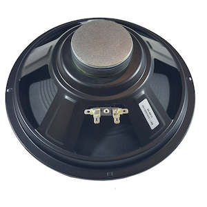 10" Paper Cone Guitar Speaker
