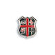 Crusaders Shield Pin