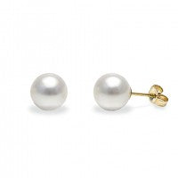 9ct Yellow Gold Fresh Water White Pearl 8-8.5mm Studs #