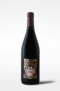 Chilled Reds: Ernesto Catena Be my Hippie Love Criolla 2023