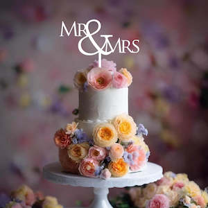 Weddings: Wedding Cake Topper - Mr & Mrs (2)