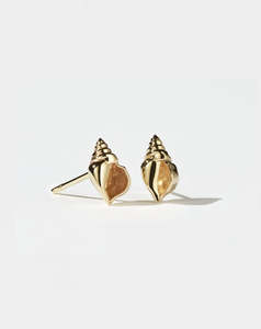 Caciverse Exclusive Meadowlark: Conch Stud Earrings - Gold Plated