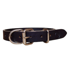 Pets: Leather Dog Collar