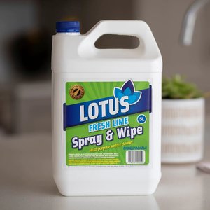 Washroom: Spray & Wipe 5L