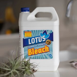 Washroom: Bleach 5L