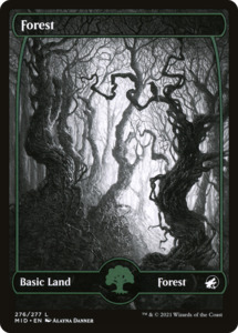 Mtg Singles Instock: Forest (MID-276) [Innistrad: Midnight Hunt]: (Full Art, Showcase) Foil