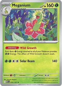 Pokemon Singles In Stock: Meganium 10 - [ME01 Mega Evolution] Holofoil
