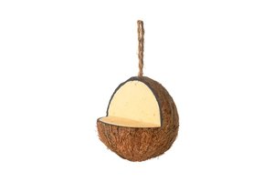 Birdfeeders — California Home & Garden: Topflite Coconut Feeder - California Home & Garden