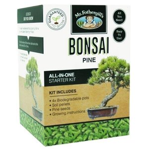 Birdfeeders — California Home & Garden: Mr Fothergill's Bonsai Kit - Pine - California Home & Garden