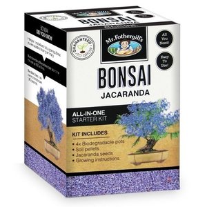 Birdfeeders — California Home & Garden: Mr Fothergill's Bonsai Kit - Jacaranda - California Home & Garden
