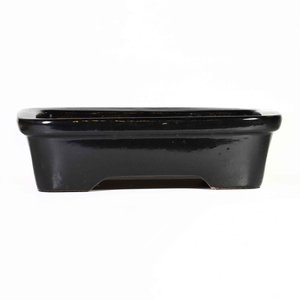 Bonsai Pot Large Rectangle assorted - California Home & Garden