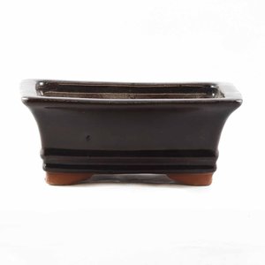 Birdfeeders — California Home & Garden: Bonsai Pot 6 inch assorted - California Home & Garden