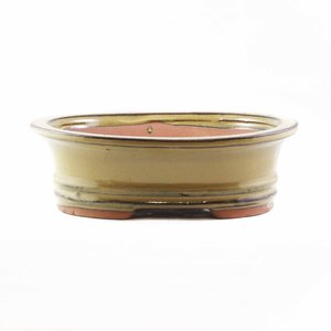 Birdfeeders — California Home & Garden: Bonsai Pot 8 inch assorted - California Home & Garden