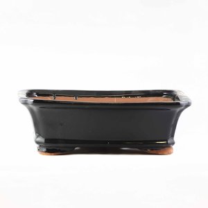 Birdfeeders — California Home & Garden: Bonsai Pot 10 inch assorted - California Home & Garden