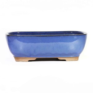 Birdfeeders — California Home & Garden: Bonsai Pot 12 inch assorted - California Home & Garden