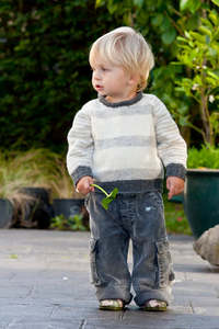 Lisa F Patterns Little Cupcakes: Lisa F Jelly Bean LF06