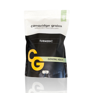 Cambridge Grains Bulk Turmeric Ikg