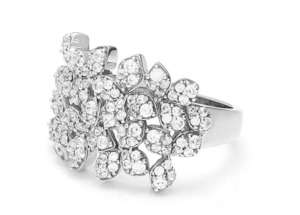 Ring: Eden / Ring / Clear + Silver