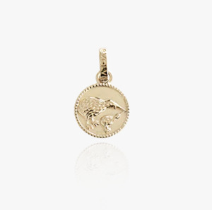 Evolve: Kiwi Coin Pendant Charm - Gold