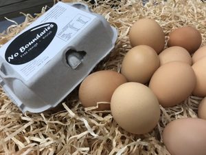 Free Range 'No Boundaries' Eggs - 6 pack - Cameron Harrison
